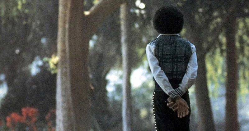 Michael Jackson: veja fotos íntimas do Rei do Pop na adolescência | Michael Jackson por Jim Britt 1973