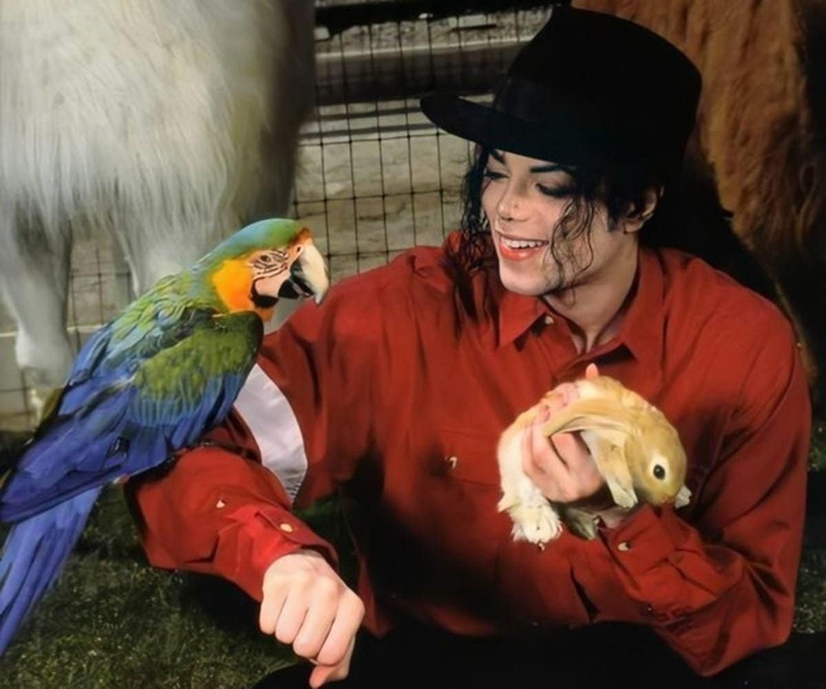 Silêncio, Amor e Lealdade: A vida de Michael Jackson entre seus animais | Michael Jackson com seus animais em Neverland 1993