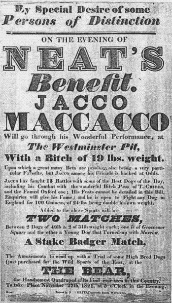 The-Sun-Jacco "Wacko Jacko": O Racismo e a Xenofobia do 'The Sun' Contra Michael Jackson