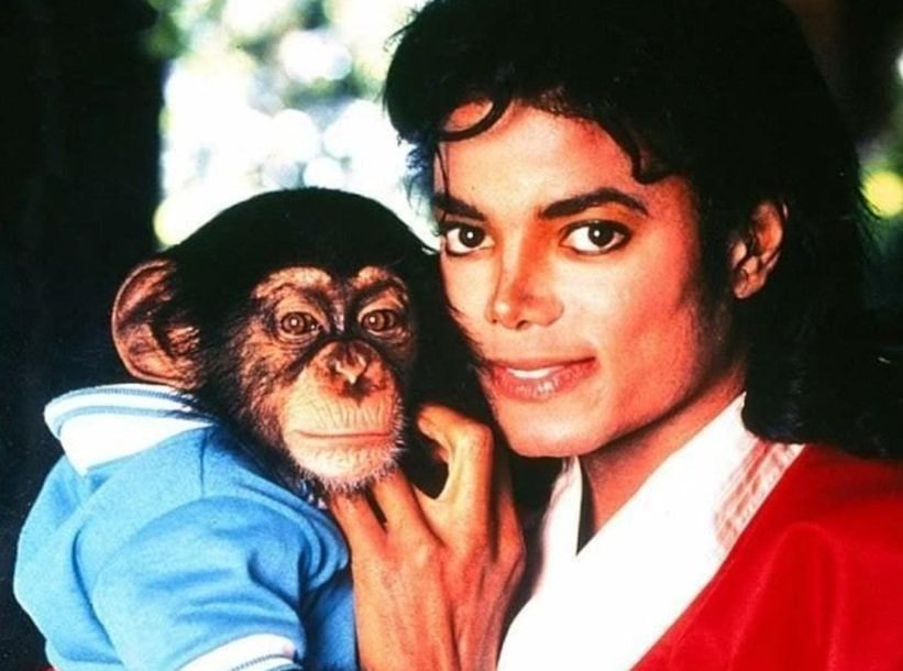 'Monkey Business': A música ousada de Michael Jackson que ficou de fora do álbum 'Dangerous' | Monkey Michael Jackson mjbeats