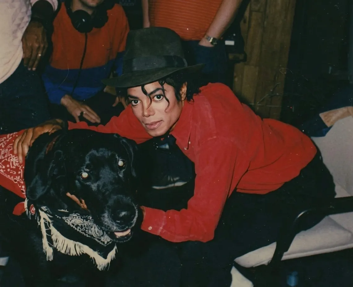 O cachorro que recusou fazer parte de 'Thriller' | mjbeats.com .br Cachorro Thriller